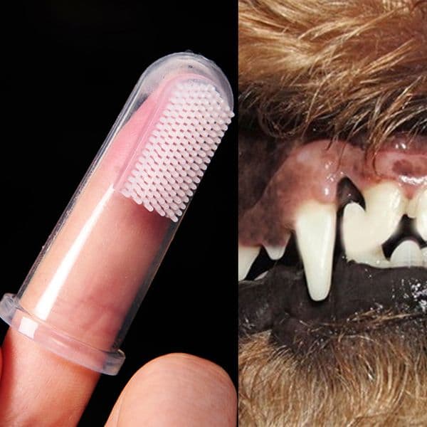 Silicone Brush Tool Toothpaste Dogs Soft Pet Finger Toothbrush Dental Hygiene For Medium dog bads ddmythur