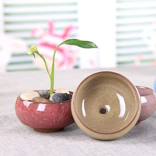 Ice Crack Glaze Ceramic Flower Pot For Juicy Plant Small Bonsai Potted Mini Simple Succulent Planter Flowerpot Home Garden Decor 5