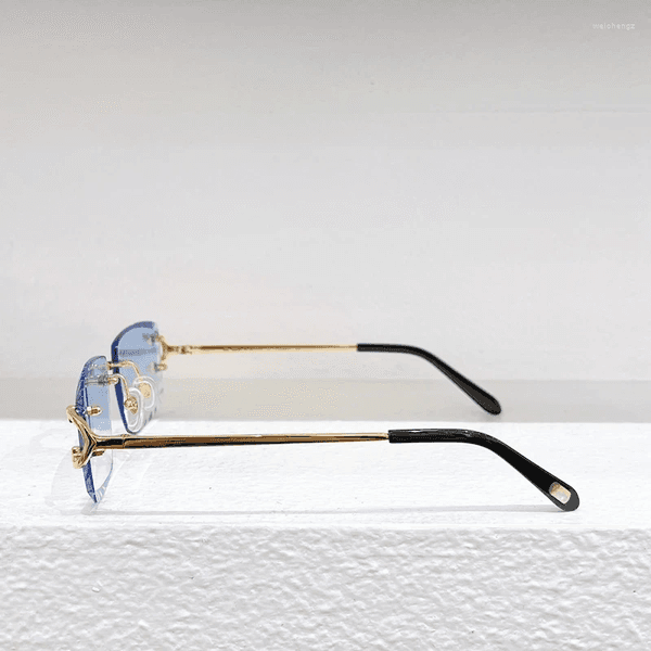 Sunglasses Designer Men Women Eyeglasses Luxury Sun Glasses Vintage Eyewear Lentes Gafas De Sol Para Mujer Hombrea