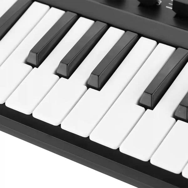 WORLDE Panda mini Portable Mini 25-Key USB Keyboard and Drum Pad MIDI Controller Keyboard Musical Instruments