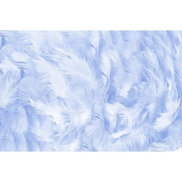 Valentine's Day Dreamy Wonderland Pink Feather Wall Baby Birthday Photography Backdrop Photographic Backgrounds For Photo Studio