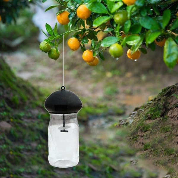 Fruit Fly Trap Killer Plastic Catcher Insect Control Farm Orchard Fruit Fly Trap Cap Can Be Matched With Water Bottle