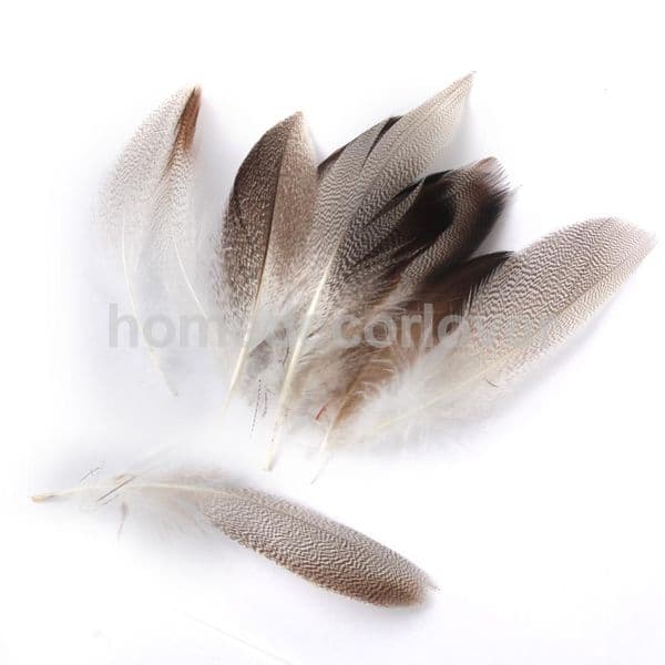 20 MALLARD DUCK FLANK FEATHERS 9-13cm for Fly Tying Millinery Mask Art Craft