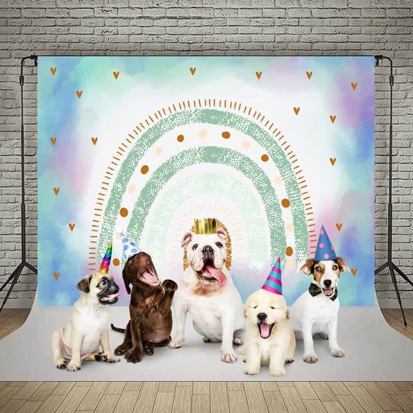 Bonvvie Bohemian Rainbow Photography Backdrop Baby Girl Boy 1st Birthday Party Cake Smash Decor Background for Photo Studio