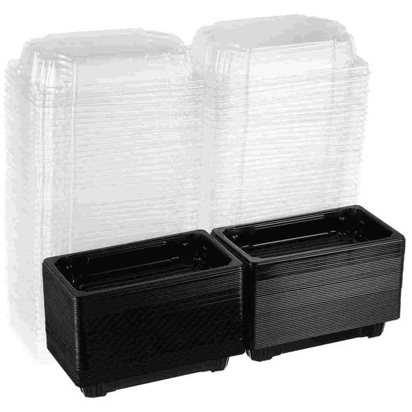 100Pcs Sushi Box Disposable Packing Boxes Take Out Containers Fruit Boxes Carry Out Containers Home Garden Party Supplies