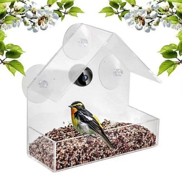 with Clear Window Bird Feeder Suction Cup 1080P Camera Night Version Hotspot Remote Connection Mobile Phone