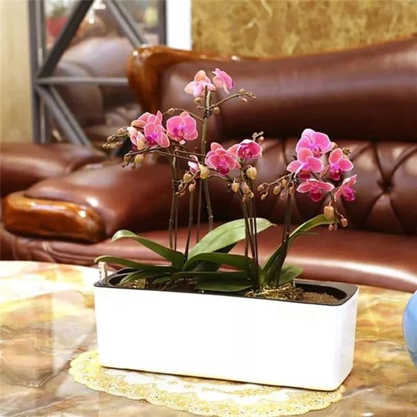 Plastic Self-Watering Flowerpot Lazy Desktop Rectangular Square Plant Flower Pot with Water Level Indicator for Office Garden FU