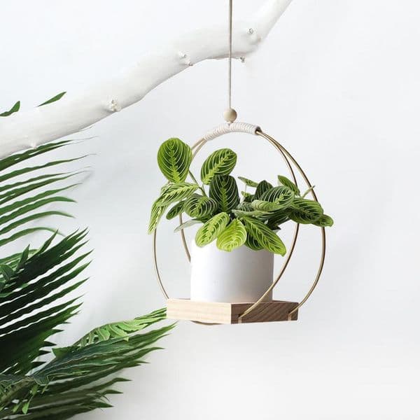 Useful Widely Used Plant Pot Holder Good Load-bearing Hanging Planter Holder Flower Pot Display Tool Multipurpose