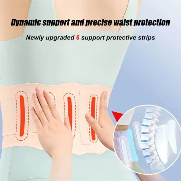 Adjustable Back Lumbar Support Belt Breathable Waist Brace Strap for Lower Back Pain Relief, Scoliosis, Herniated Disc, Sciatica