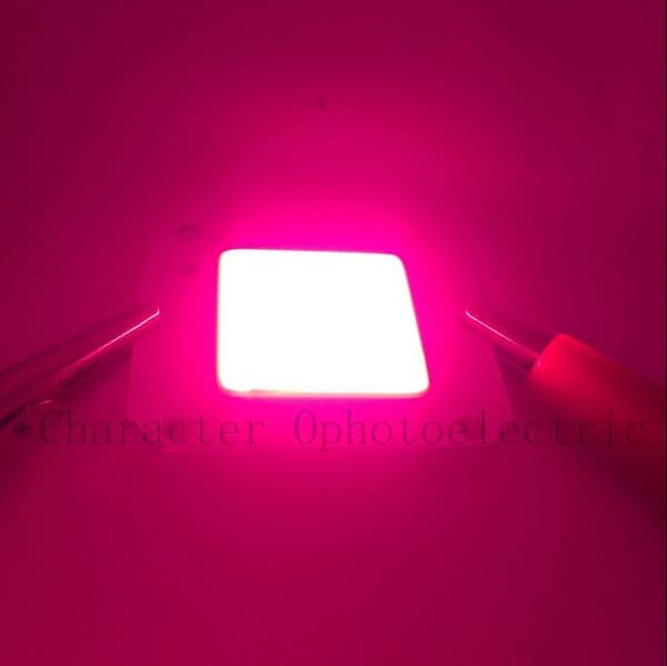 DC 12V 50W COB LED Full spectrum 400-840nm High Powe Grow Light for hydroponics 46X40MM