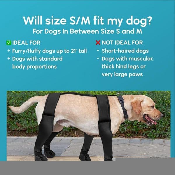 Dog Shoes Waterproof Adjustable Dog Boots Pet Breathbale Shoes For Outdoor Walking French Bulldog Shoes Pet Paws Protector