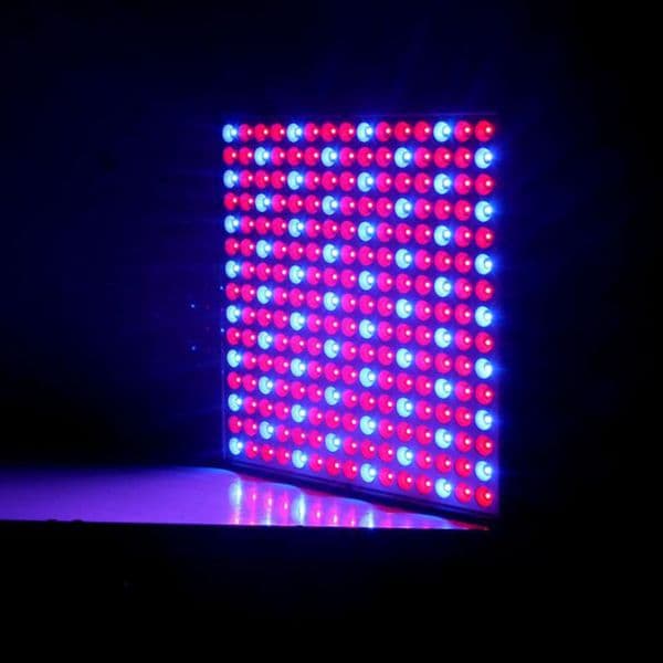 225 LED full spectrum led fito led grow tent indoor cultivo lampe growbox hydro red blue plant flower vegetable light T1