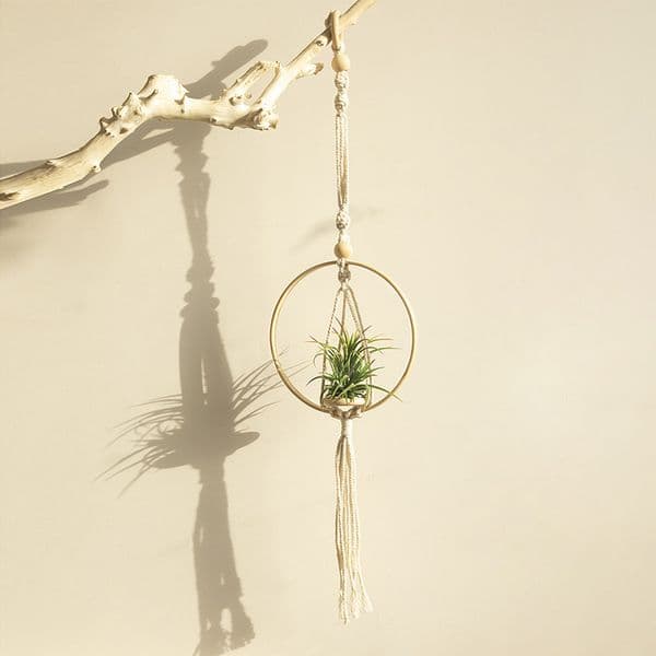 Hanging Plant Hanger Baskets, Flower Pots Holder, Balcony Wall Hanging Planter, Home Decorations, Wedding Party, Garden Supplies