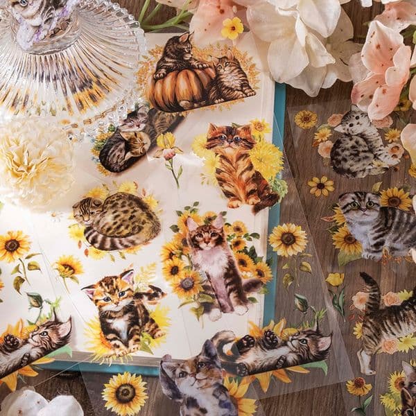 6 Sheets PET stickers cat adventure series cat theme DIY decorative postings animals cute assorted attractive diverse 6 types