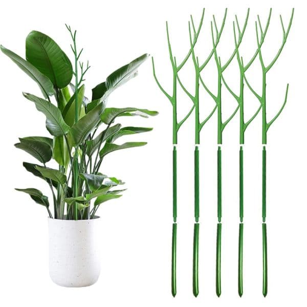 1M Plant Climbing Support Rod Garden Vine Climbing Frame Stakes Plastic Bonsai Shaped Fixing Rod Holder with Orchid Fix Clips