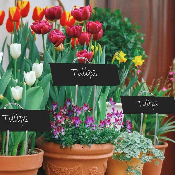 4 Pcs Labels Garden Metal Plant Tag Markers Lawn Ornaments Insert Card Tags Flower Arch Frame