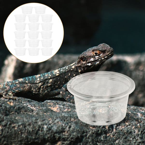 20 Pcs Reptile Water Box Small Bowl Animal Wear Resistant Plastic Reusable Dish