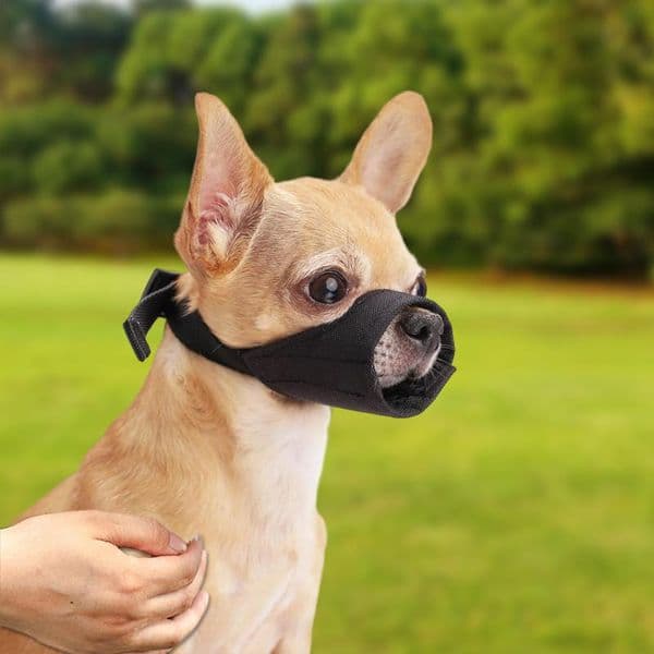 Dog Muzzle Pet Dog Mouth Mask Breathable Dog Mouth Cover Anti Bark Bite Mesh Dogs Short Snout Air Mesh Soft Grooming Muzzles