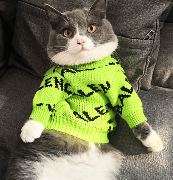 And Winter Dog Clothes Wholesale Autumn Corgi Teddy/Pomeranian Christmas Sweater Cat Sterilization Clothing New