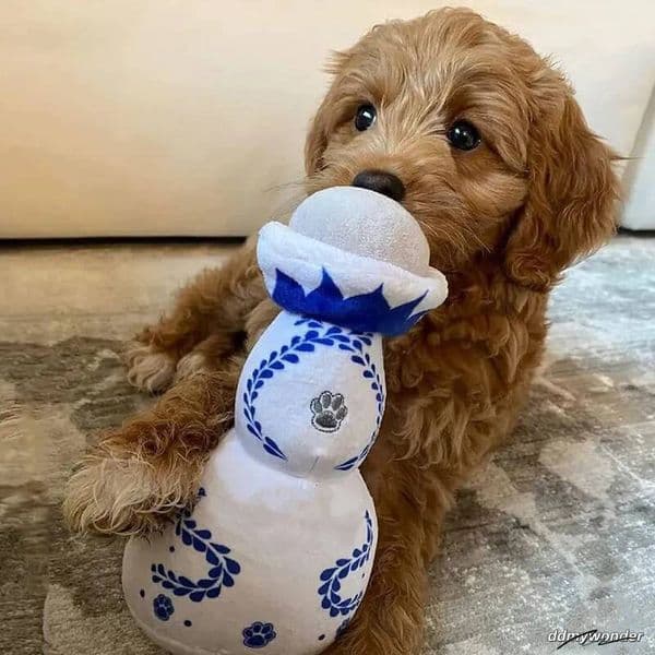 Pet Durable Wine Bottle For Gift Plush Perfume Dog Toys With Squeaky ddmywonder