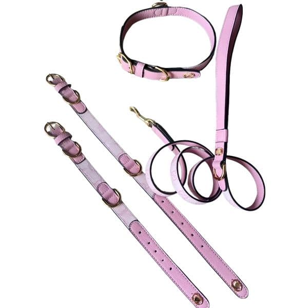Designer Pet Collar Leash Set -Adjustable Size Comfortable Stylish Accessories for Small Medium Large Dogs Cats Premium Pet Gear for Daily Walking Luxury Gift Box