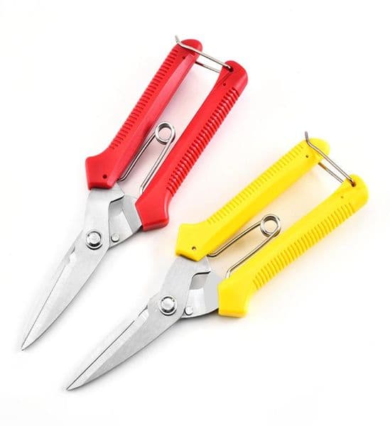 Pruning pliers Home Garden Scissors Sharply Multi Colors Branch Scissor Red Yellow Prevent Slip Handle Pruning Shears Selling 6160664