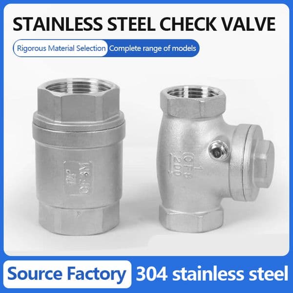 Stainless Steel 304 Vertical/Horizontal Water Pipe Straight-Through Check Valve, Non-Return Valve, Spring-Loaded One-Way Valve