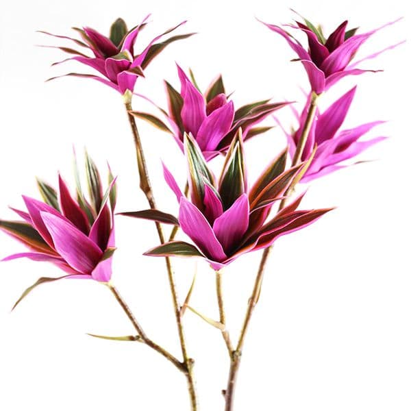 83cm Large Artificial Bamboo Branch Tropical Palm Plants Fake Dracaena Tree Silk Purple Flower Heads Lily Leaves for Home Decor