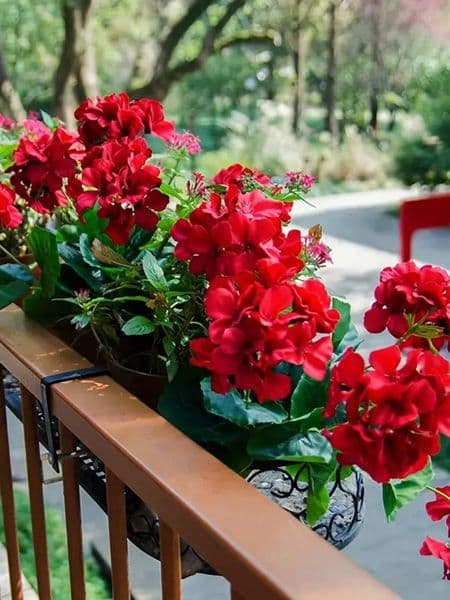 Artificial Geranium UV Resistant Wedding Kitchen Garden Table Ornaments Indoor and Outdoor Decoration 1 Set of 2pcs