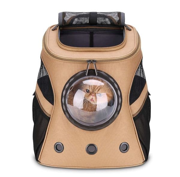 Large pets carry backpacks, bubble backpacks carry fat cats and puppies, and airlines approve easy travel