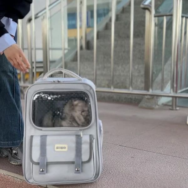 Beni Pet Versatile Breathing Pet Out Bag Spacious Dual Straps Suitable For Travel And Daily Use