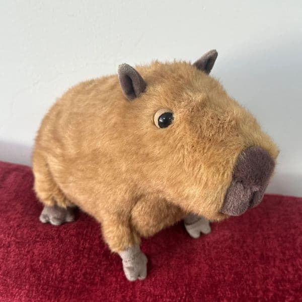 Dolls Clyde Capybara Plush Childrens plush toys Kapibala Soft Toy Dolphin body pillow Cute Soothing Doll Gifts 625W260209