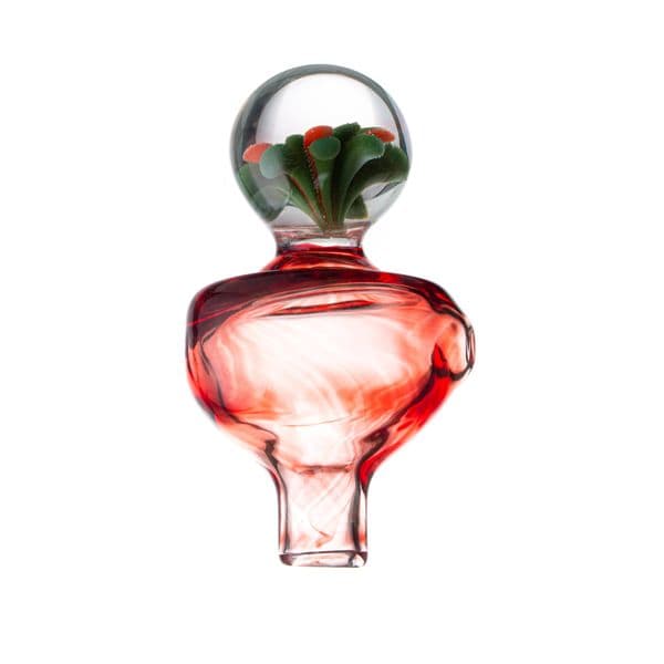 Premium 32mm Glass Carb Cap with Floral Inside Bead, Designed for Quartz Banger Smoking Accessories G394