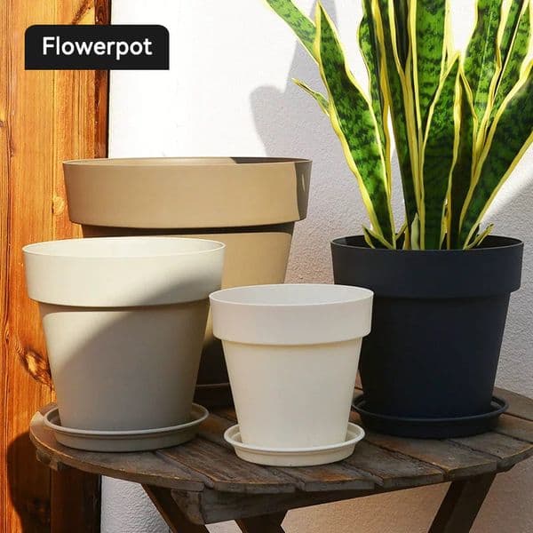 Contemporary Nordic Style Flower Vases & Holders for Houseplants