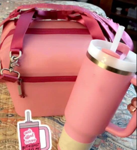 Julienne Mini Soft Refrigerated Lunch Bag Box Recycled Polyester Refrigerated 12 Hour Refrigerated Travel Refrigerated Bag Belt