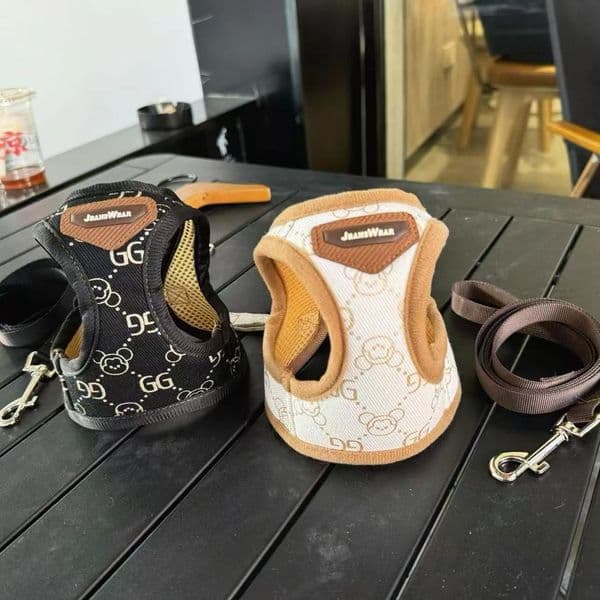 Small Dog Harness with Leash Set, No Escape No Pull Easy Walk Puppy Harnesses, Step-in Hot Stamping Pattern Soft Dogs Vest for Medium Small Sized Dog XS B139