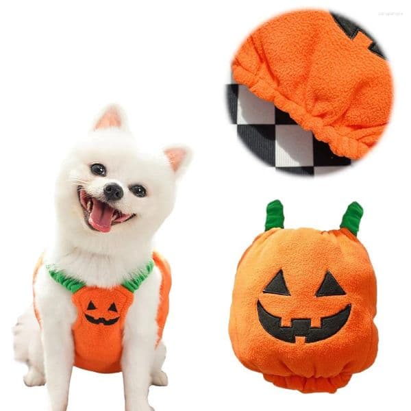 Halloween Dog Costumes Funny Pumpkin Lantern Transformation Outfit Cat Two Legged Pet Cute Cloth Comical Outfits
