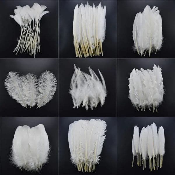 20pcs/Lot White Rooster Goose Pheasant Feathers for Crafts Chicken Duck Peacock Ostrich Feathers Wedding Decoration Plume plumas