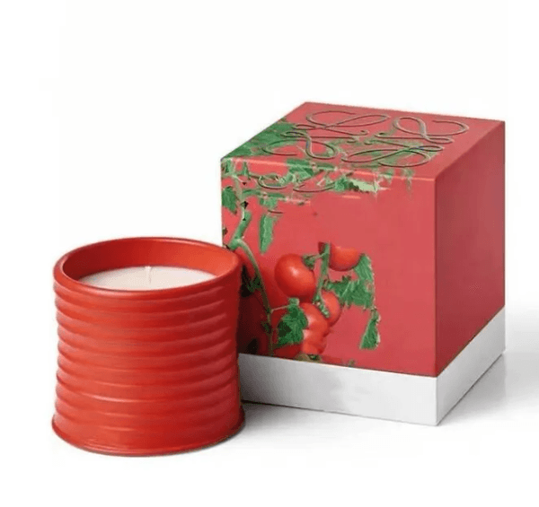 Spain Scented Candles Pottery Jar Top Quality Fragrance Candle ivy Aromatherapy Box Home Decoration Festivals Gift