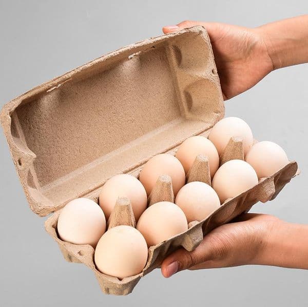10Pcs Paper Egg Cartons For Chicken Eggs Cardboard Egg Tray Holds 10 Count Eggs Reusable Empty Egg Storage Box Containers ni179