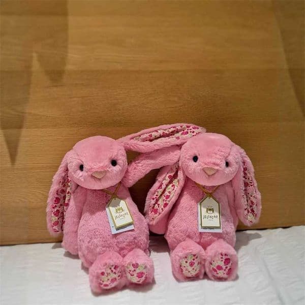 Jellys Cat New Large Bonnie Rabbit Cute Bunny Doll for Children Baby Comforting Plush Toy Gift online