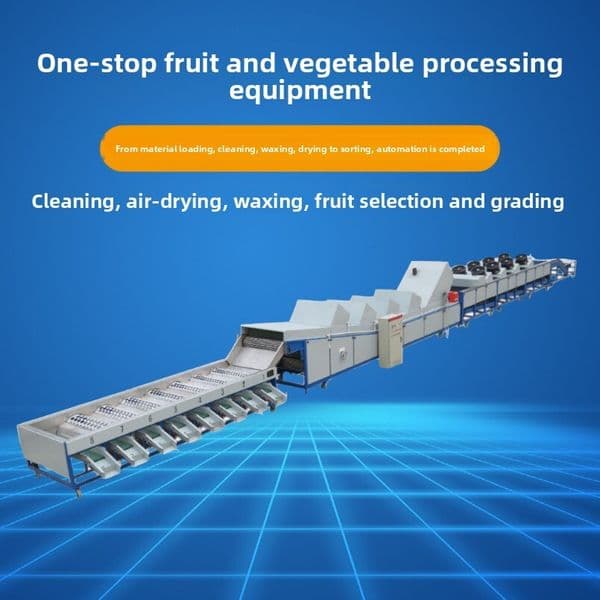 Large Full Set Citrus Cleaning Drying Air Dryer Sorting Machine Fruit and Vegetable Waxing Preservation
