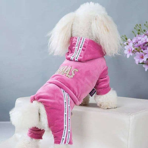 Dog Clothes for Small Dogs Cat Warm Winter Pet Clothing Soft Velvet Overalls Puppy Girl Hoodies Jumpsuit Sweatshirt Chihuahua 25H1222