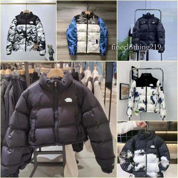 Women's Thenorth Face Stylish Northfacepufferjacket Womens Designer Mens Down Coat Zipper Outwears Parka Windbreaker Notthface Jackets Nord Facejacket f75 d5e