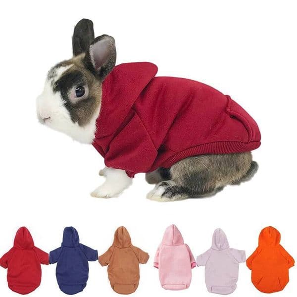 Autumn And Winter Warm Sweater Bunny Pocket Two-legged Clothes Adult Rabbit Go Out Photo Accessories Small Pet Supplies