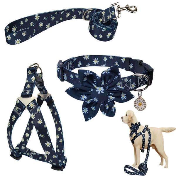 Dog Collar leash Three Piece Set Leash Collar Adjustable Flower Bow Daisy Pendant and Chrysanthemum Pattern Suitable