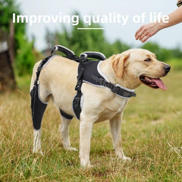 Dog Knee Brace for Torn ACL, Patellar Luxation Ligament Injuries - Pain Relief & Protection