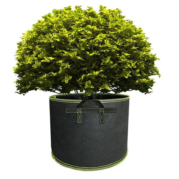 5/10/15/20 Gallon Grow Bags Thickened Non-woven Vegetable Saplings Potato Tree Planting Bags Foldable Planting Bucket