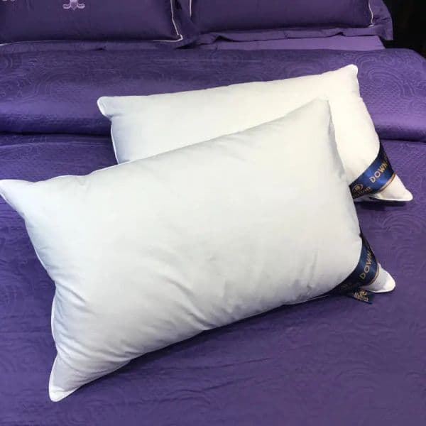 800g Cotton Pillow Core Down Pillow, 48x74cm Anti Feather Cloth Bed and Breakfast Hotel Neck Pillow,Hotels Pillows for Sleeping