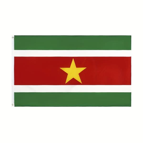 3x5Fts 90x150cm Surinamese National Flags Suriname Flag Polyester Banner for Indoor Outdoor Decoration Direct Factory Wholesale